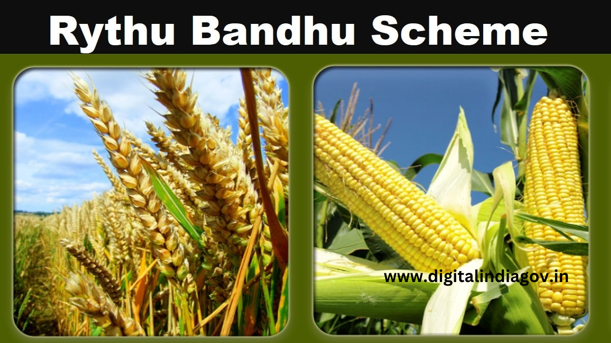 Rythu Bandhu Scheme Eligibility Status Check Amount Benefits