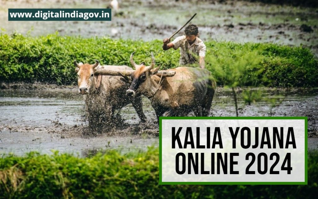 Kalia Yojana Online