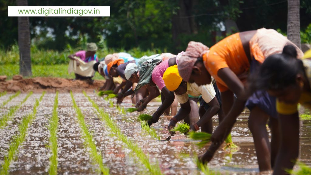 Fasal Sahayata Yojana