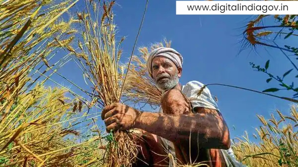 PM Kisan Samman Nidhi Yojana 2024 Beneficiary Status