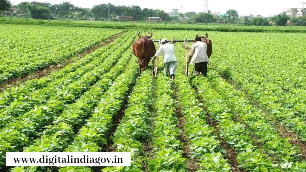 Jharkhand Krishi Rin Mafi Yojana