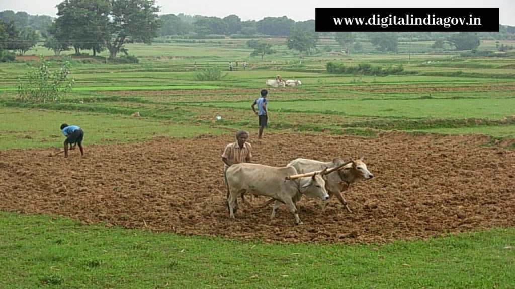 Mukhyamantri Sukhad Yojana Jharkhand