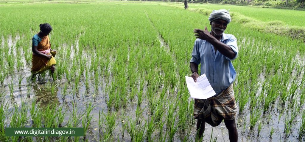 Fasal Bima Yojana Jharkhand