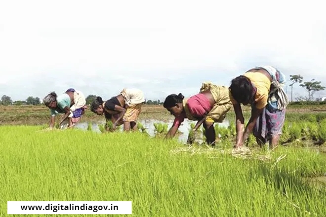 Kisan Nidhi Yojana