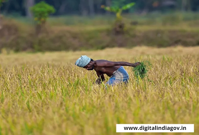 PM Kisan Yojana List