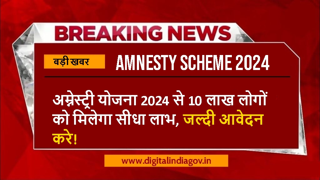 Amnesty Scheme 2024