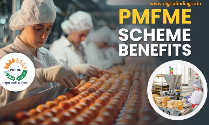 PMFME Scheme Benefits